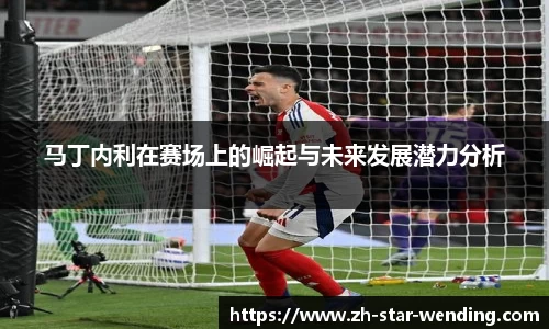 马丁内利在赛场上的崛起与未来发展潜力分析